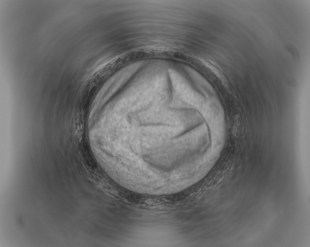 X0000112921015200909211048
