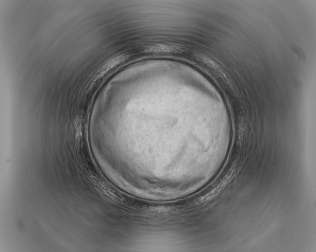 X0000112921017200909211048
