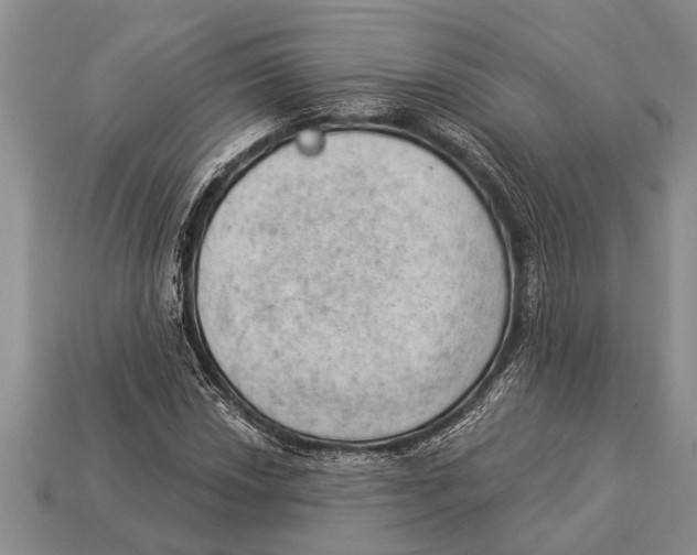 X0000112921018200909211048