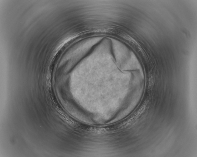 X0000112921019200909211048