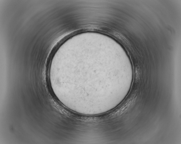 X0000112921020200909211048
