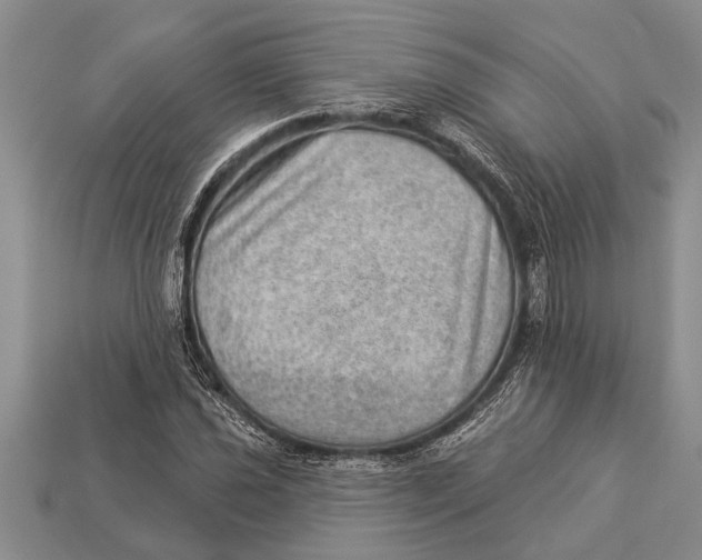 X0000112921021200909211048