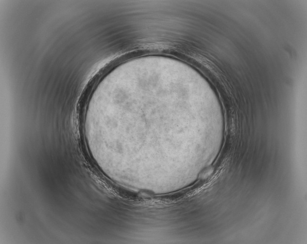 X0000112921022200909211048