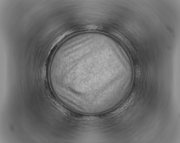 X0000112921023200909211048