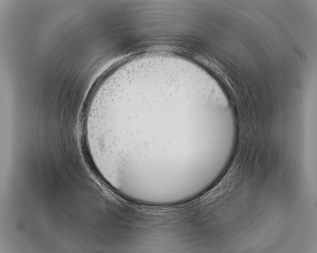 X0000112921024200909211048