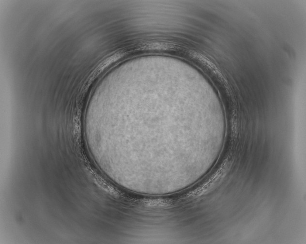 X0000112921025200909211048