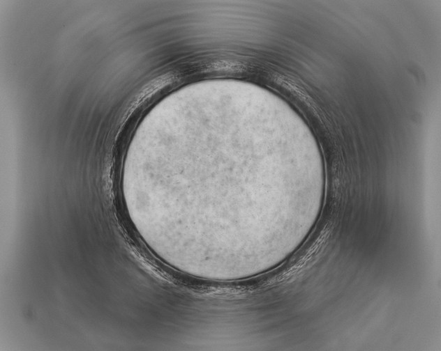 X0000112921026200909211048