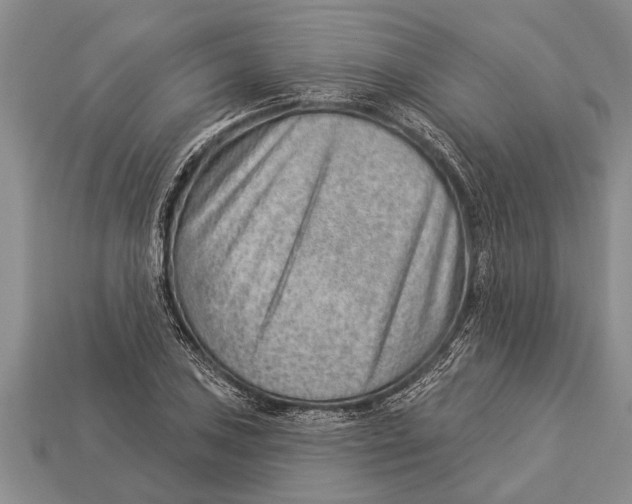 X0000112921027200909211048
