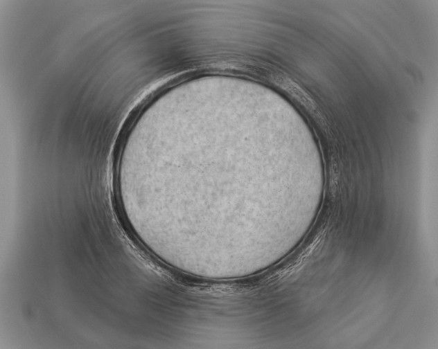 X0000112921028200909211048