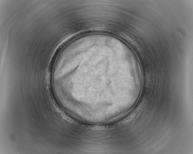 X0000112921029200909211048