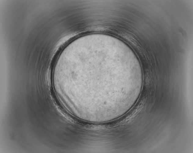 X0000112921030200909211048