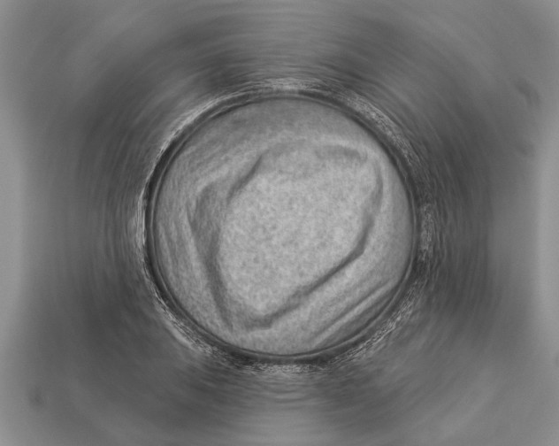 X0000112921031200909211048