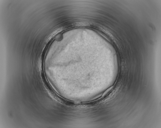 X0000112921034200909211048