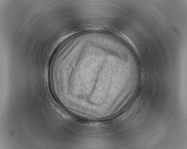 X0000112921035200909211048