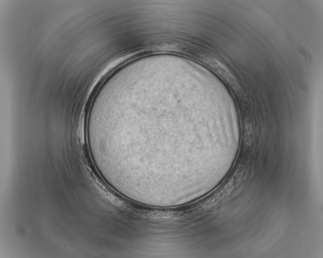 X0000112921036200909211048