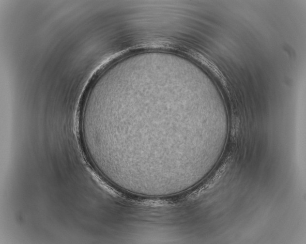 X0000112921037200909211048