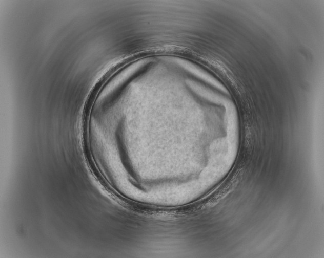X0000112921038200909211048