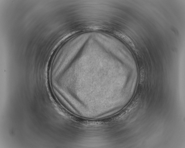 X0000112921039200909211048