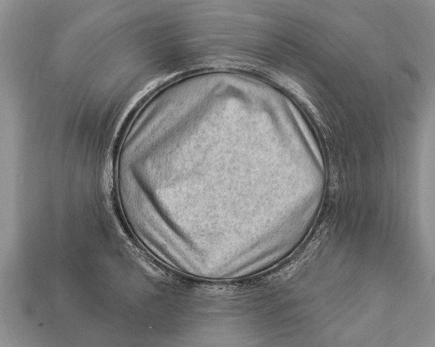 X0000112921040200909211048