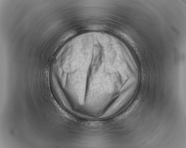 X0000112921041200909211048