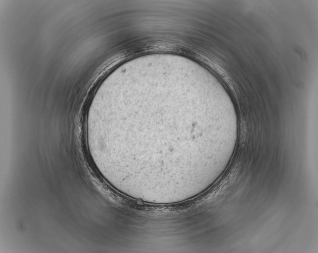 X0000112921042200909211048