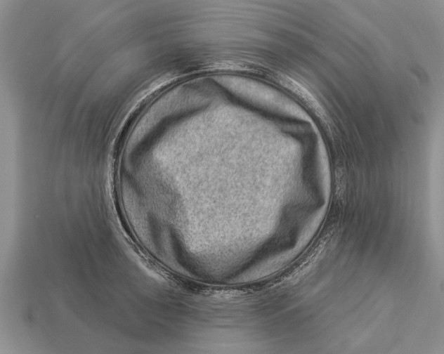 X0000112921043200909211048