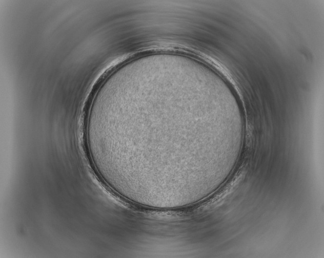 X0000112921045200909211048