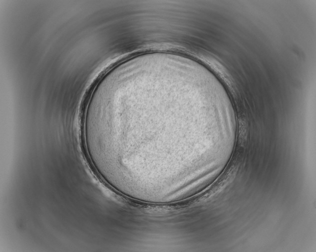 X0000112921046200909211048