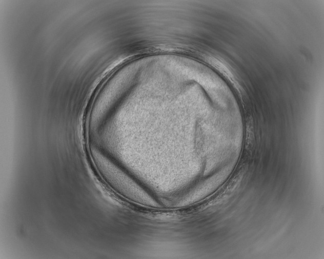 X0000112921047200909211048
