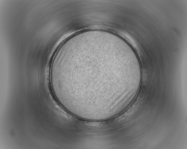 X0000112921048200909211048