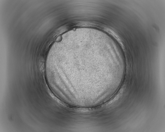 X0000112921049200909211048