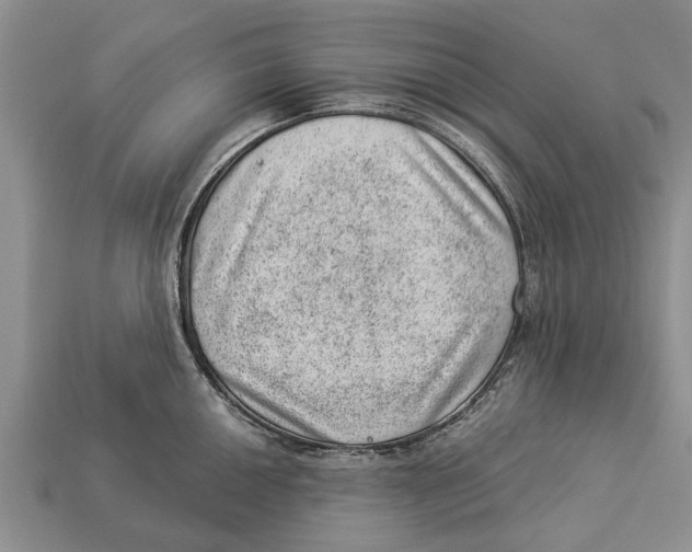 X0000112921050200909211048