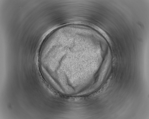 X0000112921051200909211048