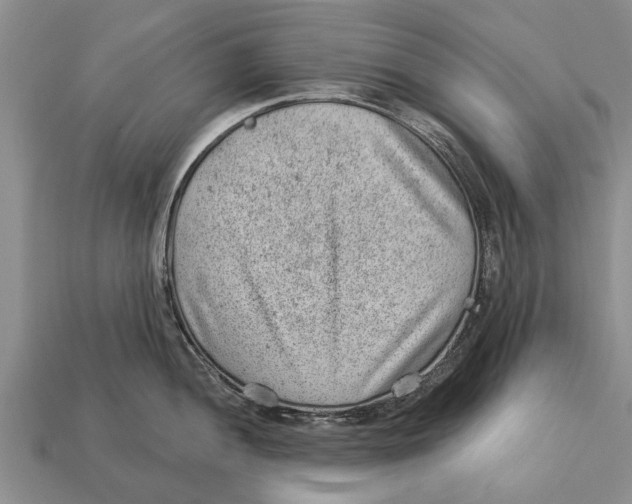 X0000112921052200909211048