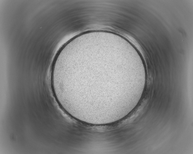 X0000112921053200909211048