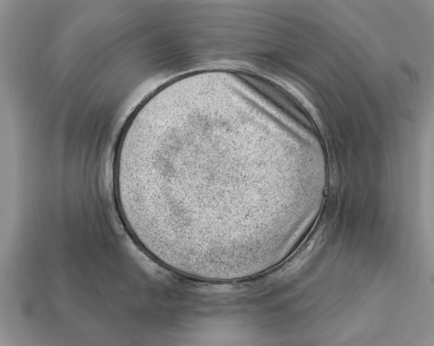X0000112921054200909211048