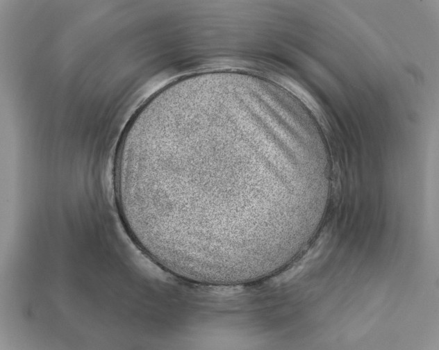 X0000112921055200909211048