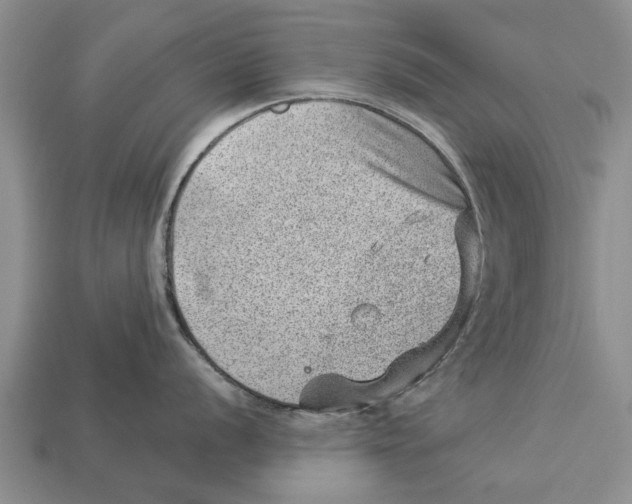 X0000112921056200909211048
