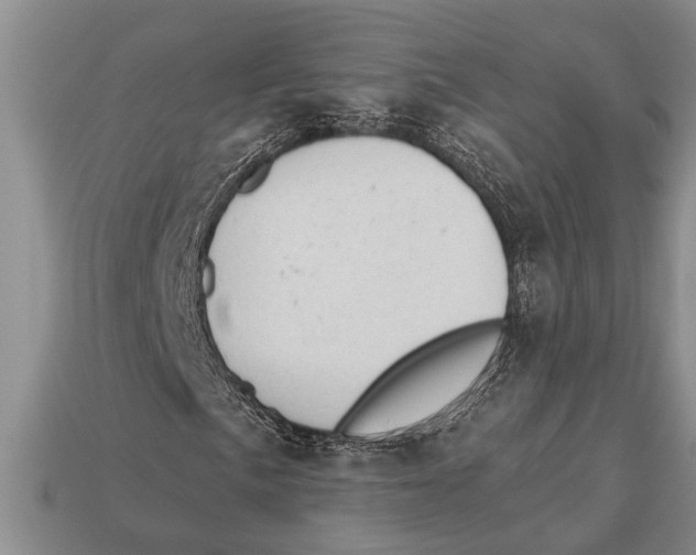 X0000112921057200909211048