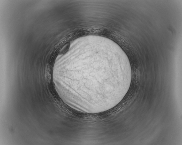 X0000112921058200909211048