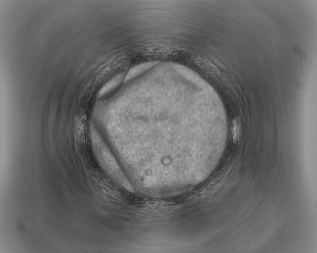 X0000112921059200909211048