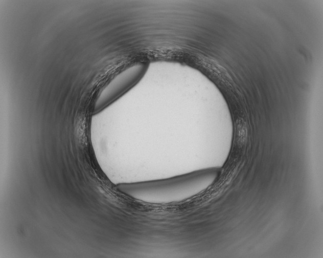 X0000112921060200909211048