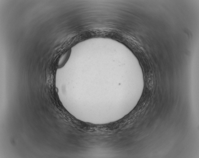 X0000112921061200909211048