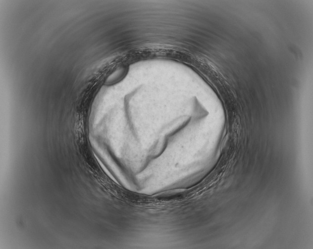X0000112921062200909211048