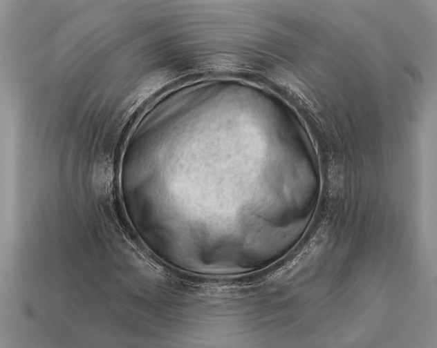 X0000112921065200909211048