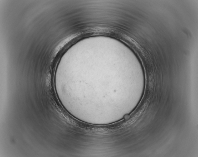 X0000112921066200909211048