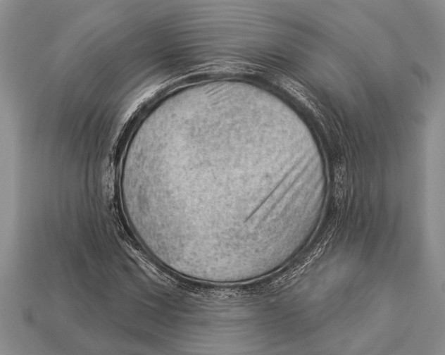 X0000112921067200909211048