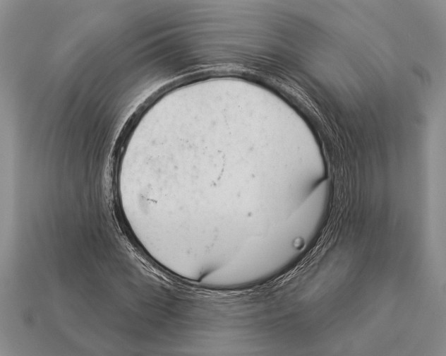 X0000112921068200909211048