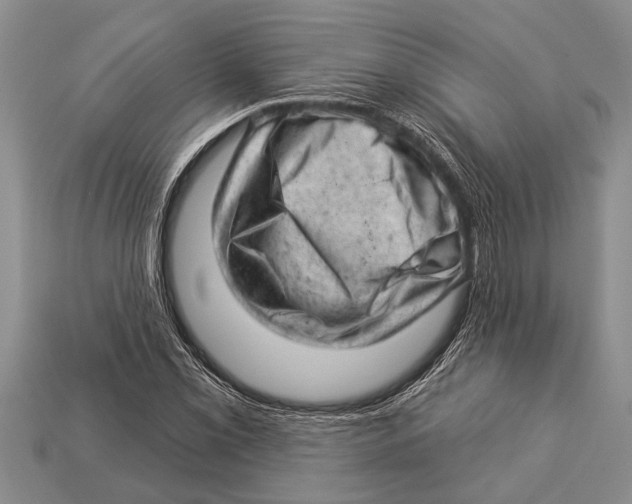 X0000112921069200909211048