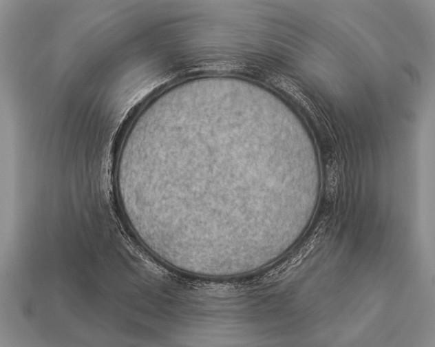 X0000112921071200909211047